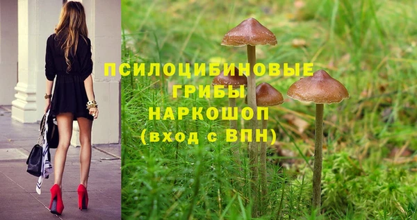 метамфетамин Богородицк